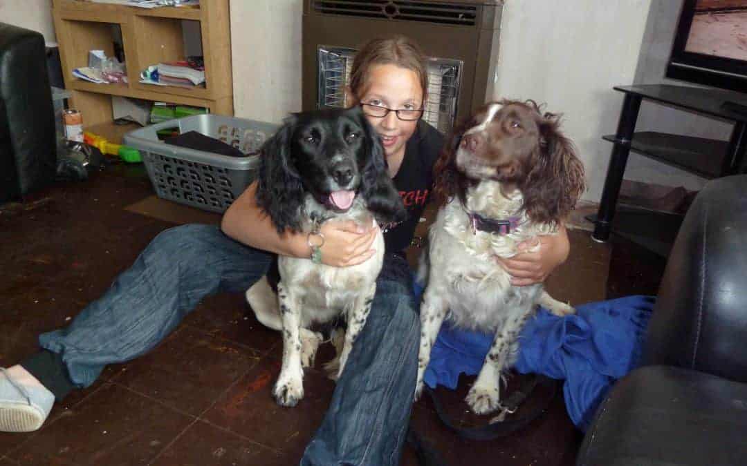 dog centric….