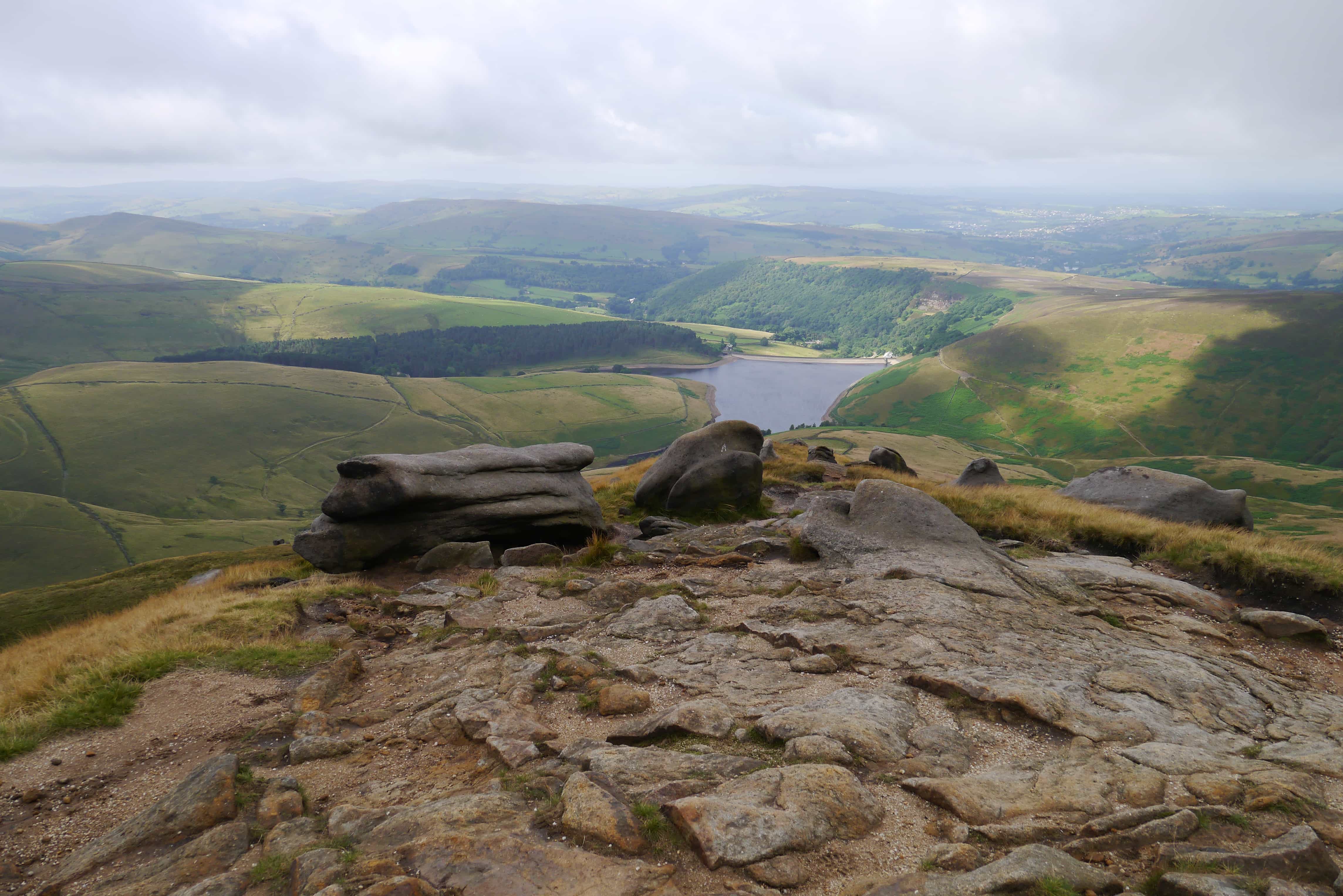 Hayfield 029