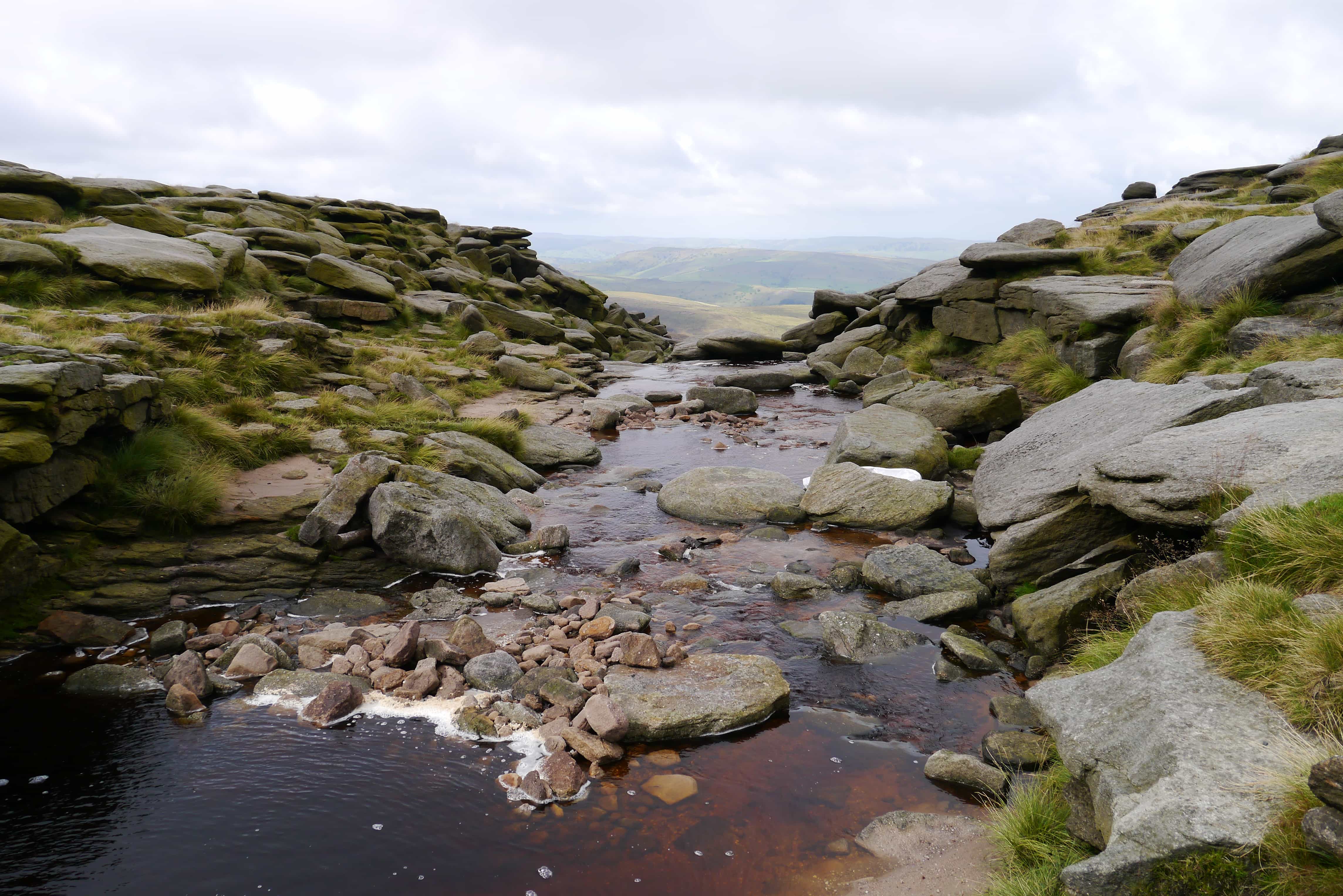 Hayfield 046