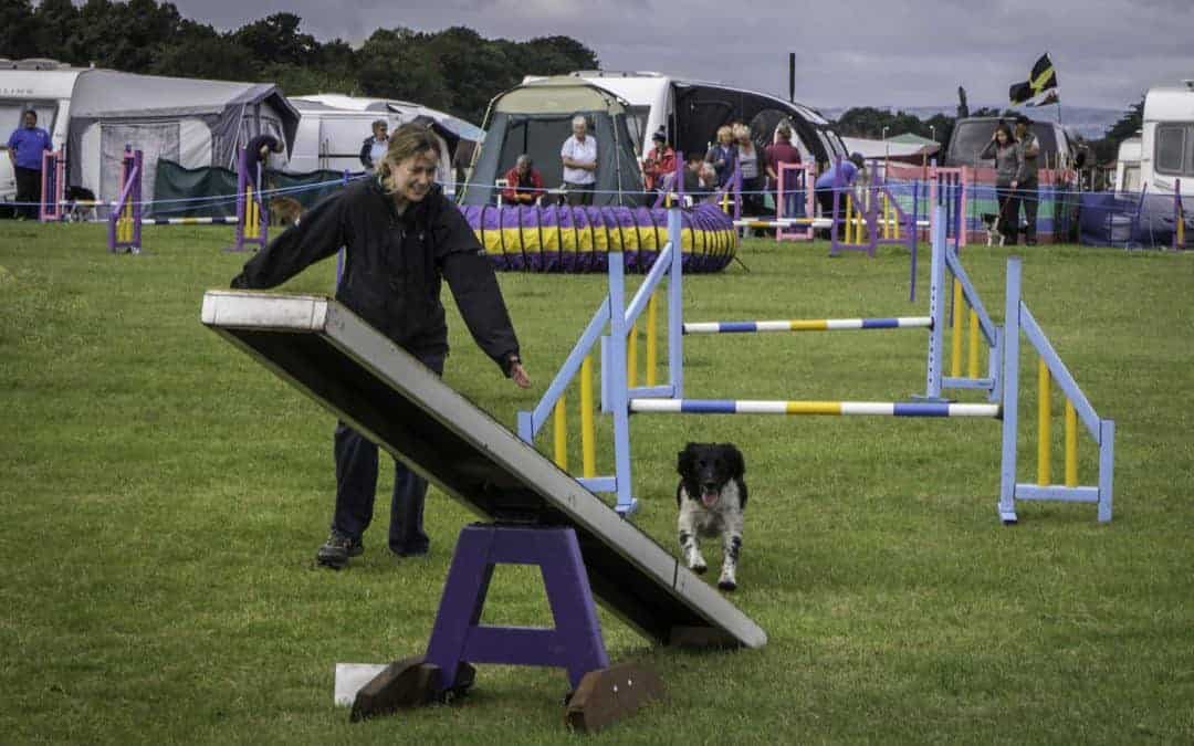 The Flying Canadian and Her Flying Dog!