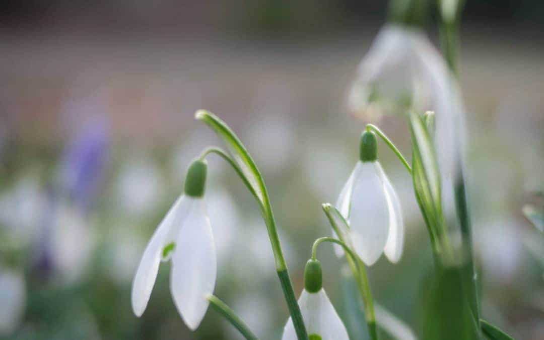 Hello March