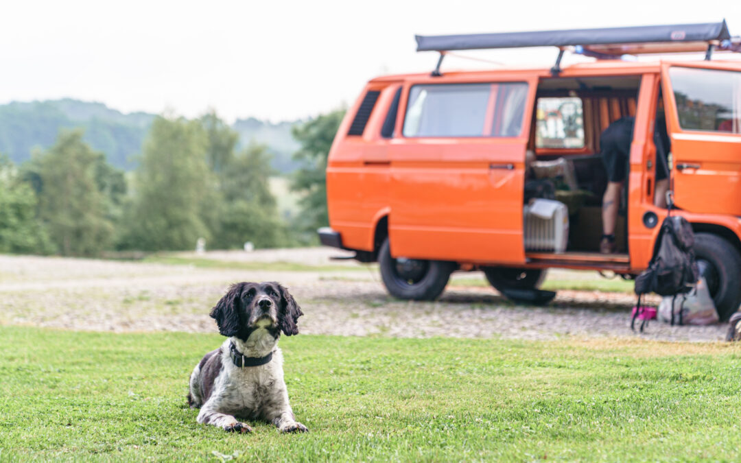 Our first camping trip in… well, a very long time!