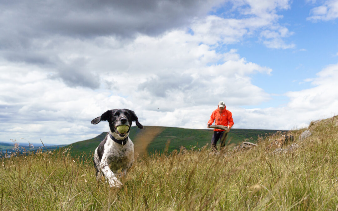 Camping in Crowden – July 2022
