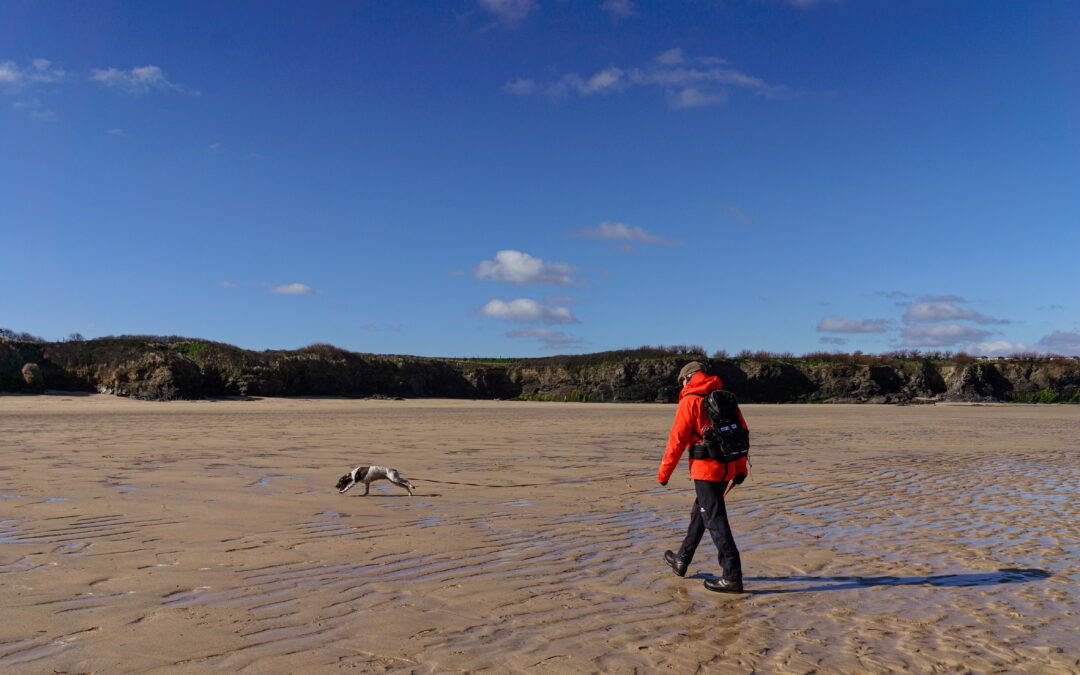 Cornwall – March, 2025