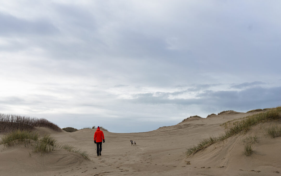 Barmouth – February, 2026